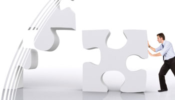 Custom development, data migration, project management, business diagnostics